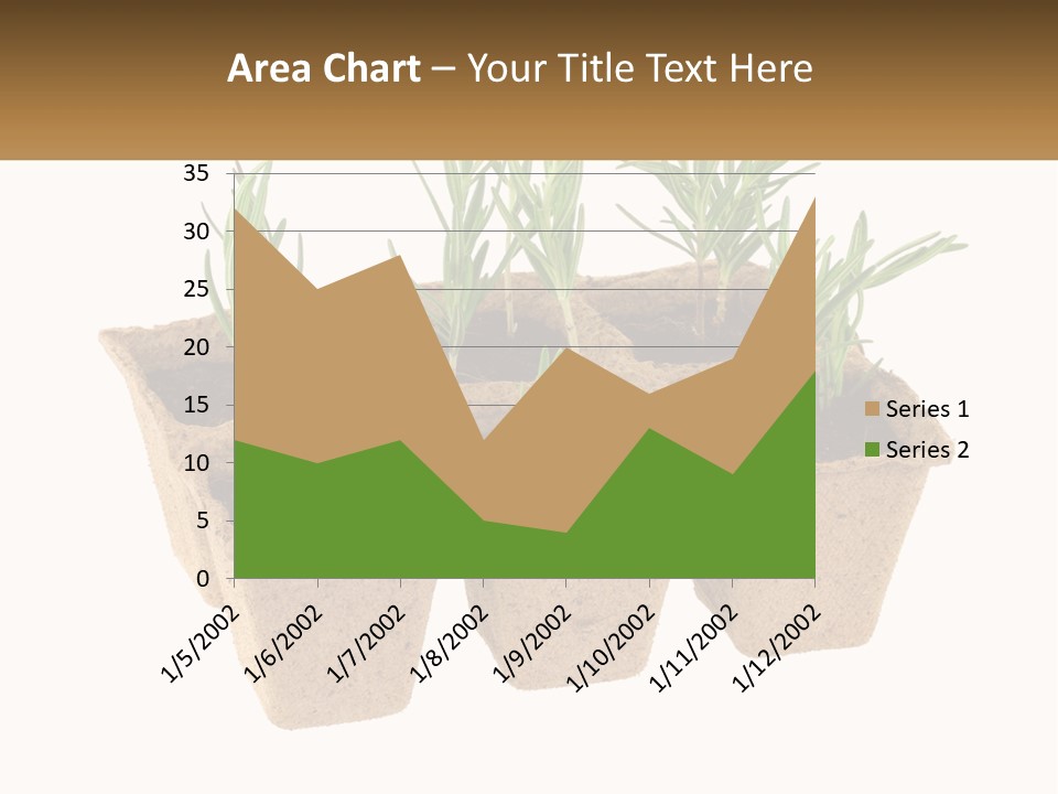 Sunset Portrait Calm PowerPoint Template