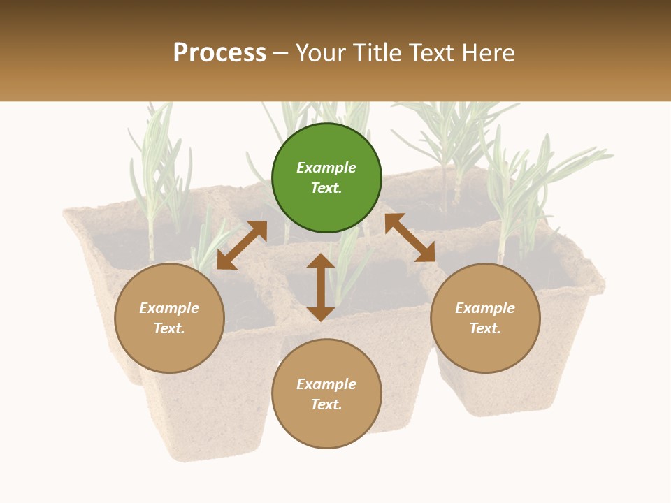 Sunset Portrait Calm PowerPoint Template