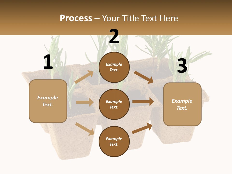 Sunset Portrait Calm PowerPoint Template