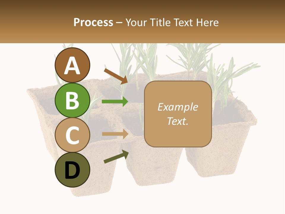 Sunset Portrait Calm PowerPoint Template