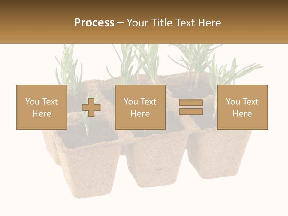 Sunset Portrait Calm PowerPoint Template