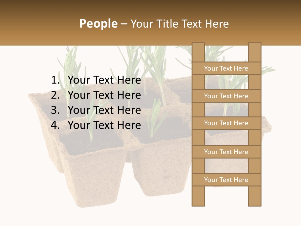 Sunset Portrait Calm PowerPoint Template