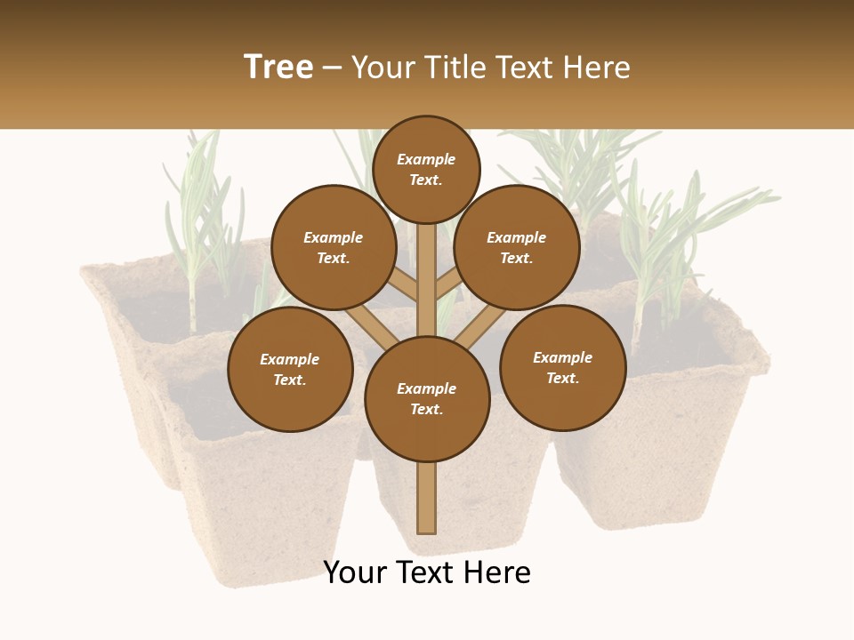 Sunset Portrait Calm PowerPoint Template