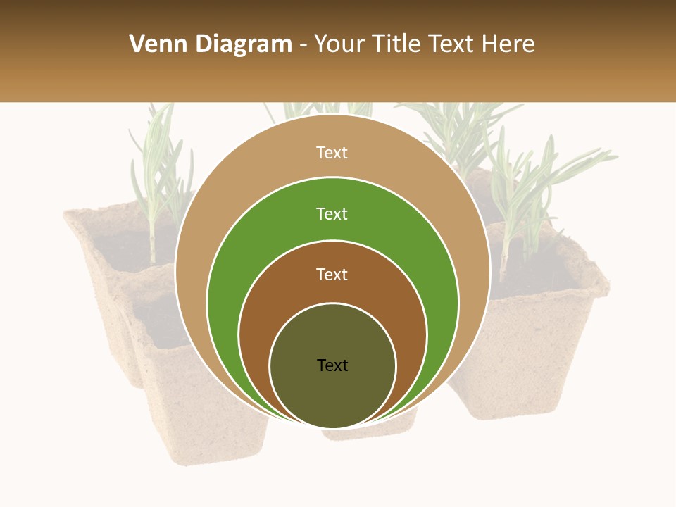 Sunset Portrait Calm PowerPoint Template