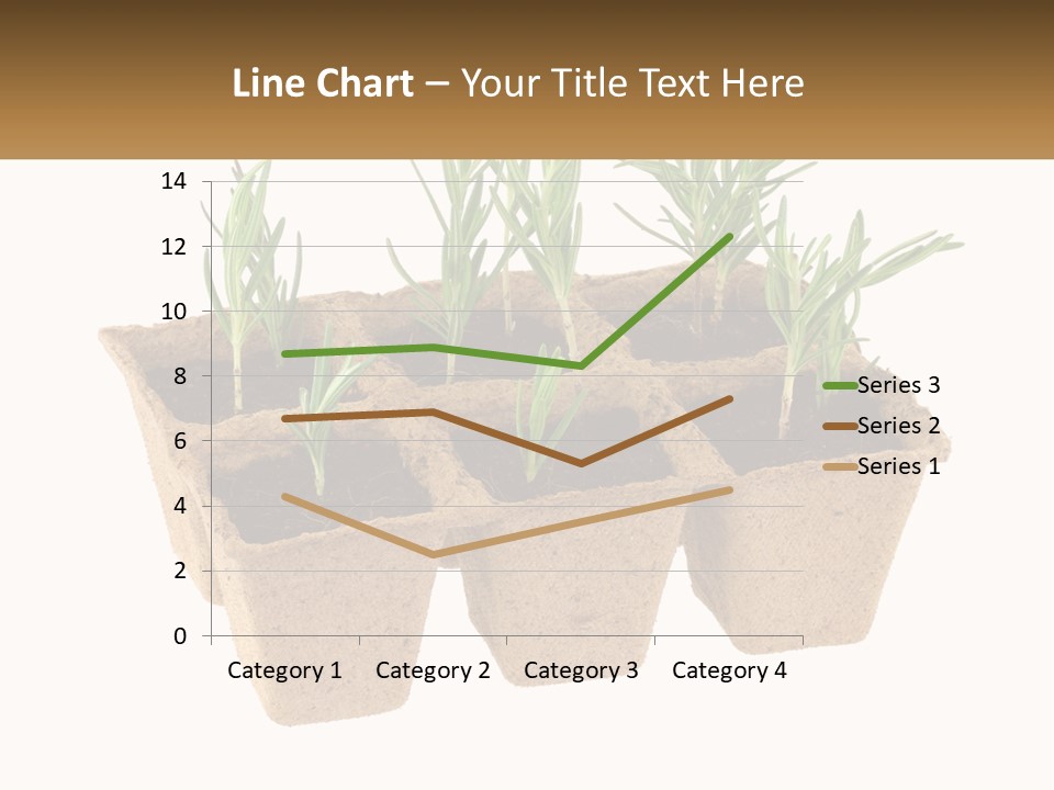 Sunset Portrait Calm PowerPoint Template