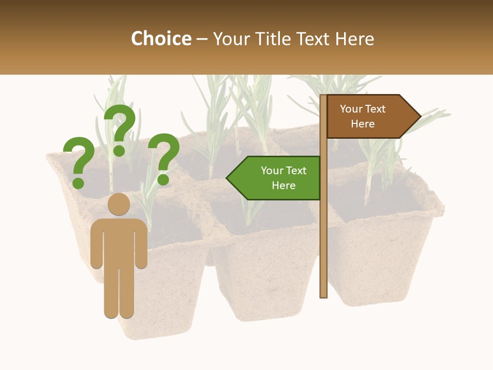 Sunset Portrait Calm PowerPoint Template