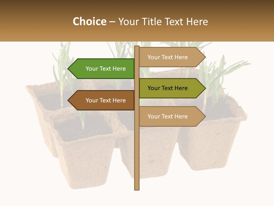 Sunset Portrait Calm PowerPoint Template