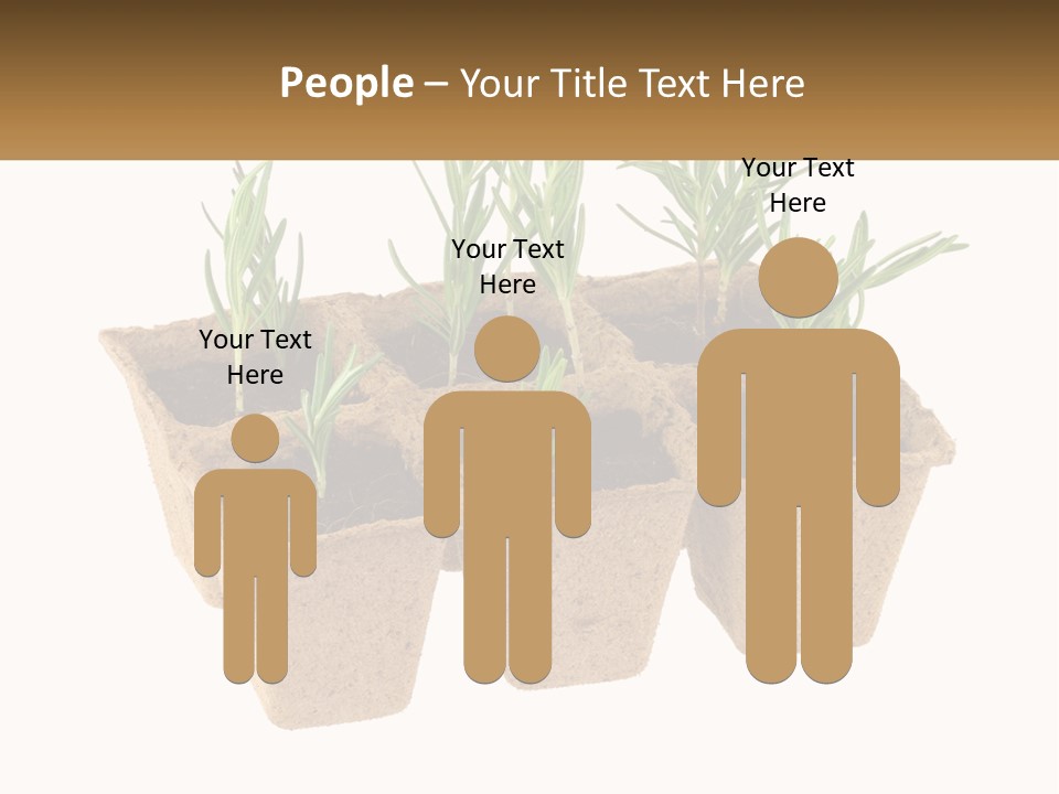 Sunset Portrait Calm PowerPoint Template