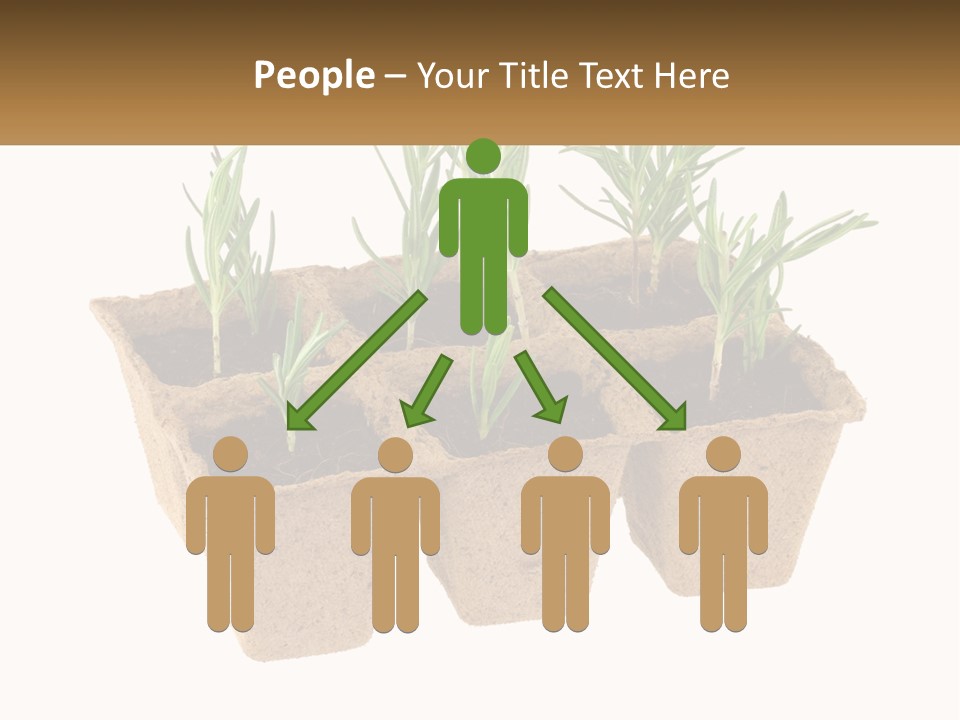 Sunset Portrait Calm PowerPoint Template