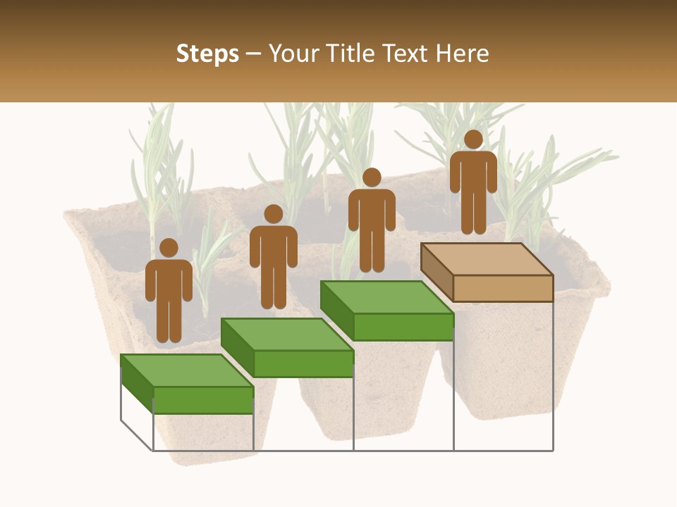 Sunset Portrait Calm PowerPoint Template