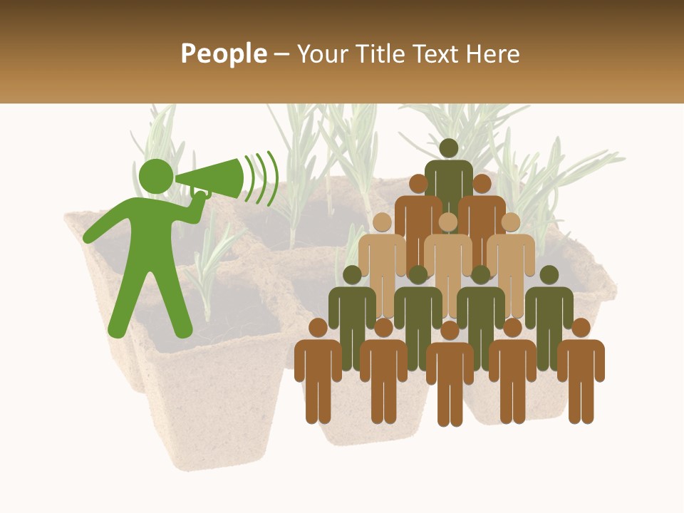 Sunset Portrait Calm PowerPoint Template