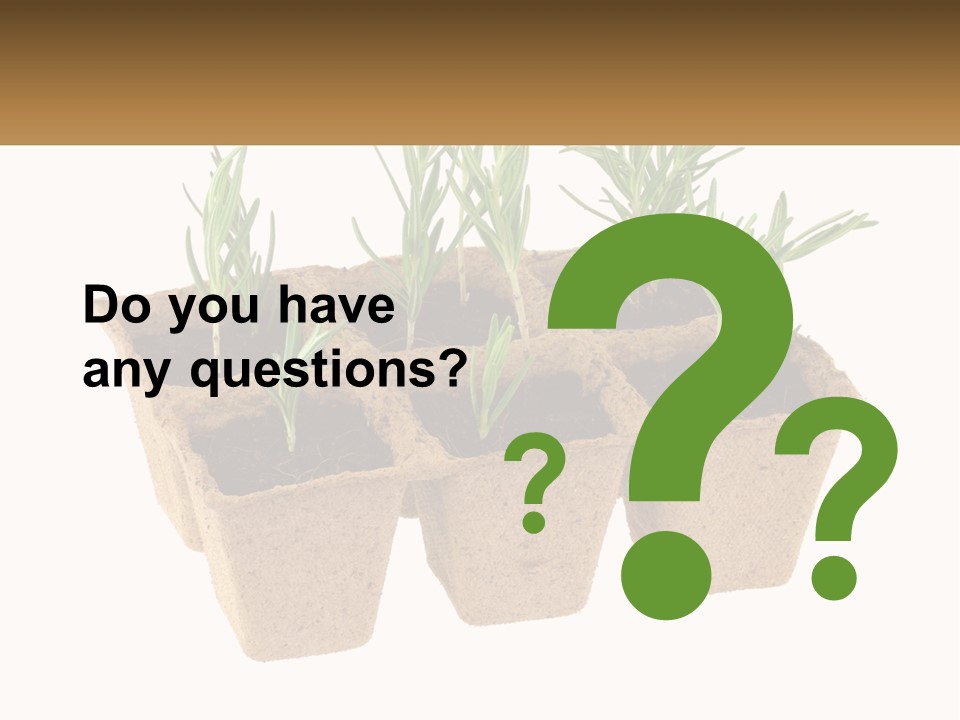 Sunset Portrait Calm PowerPoint Template