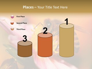 Water Old Ocean PowerPoint Template