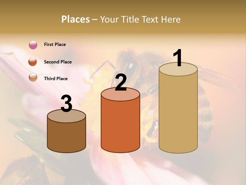 Water Old Ocean PowerPoint Template