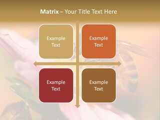 Water Old Ocean PowerPoint Template