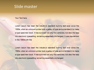 Water Old Ocean PowerPoint Template