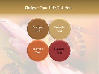 Water Old Ocean PowerPoint Template