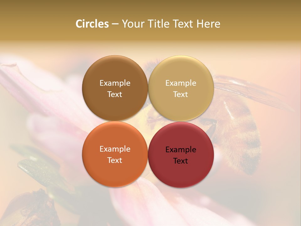 Water Old Ocean PowerPoint Template