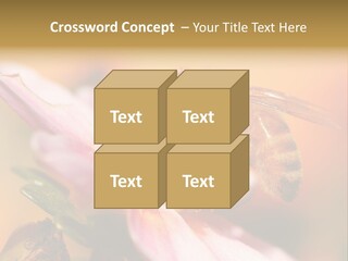 Water Old Ocean PowerPoint Template