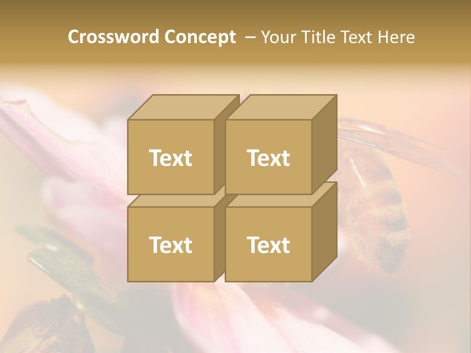 Water Old Ocean PowerPoint Template