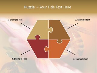 Water Old Ocean PowerPoint Template