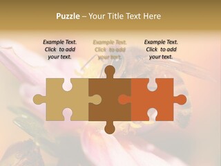 Water Old Ocean PowerPoint Template