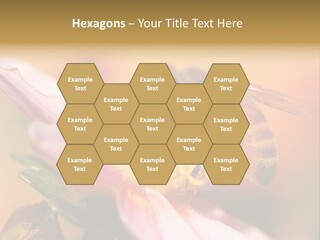 Water Old Ocean PowerPoint Template