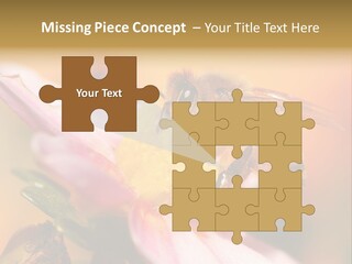 Water Old Ocean PowerPoint Template