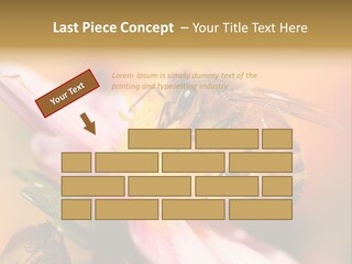 Water Old Ocean PowerPoint Template