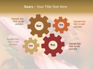 Water Old Ocean PowerPoint Template