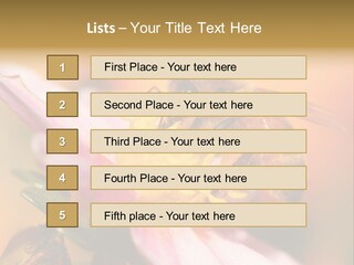 Water Old Ocean PowerPoint Template