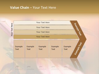 Water Old Ocean PowerPoint Template