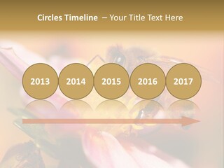 Water Old Ocean PowerPoint Template