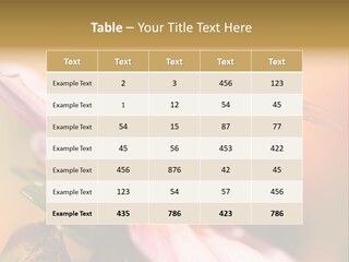 Water Old Ocean PowerPoint Template