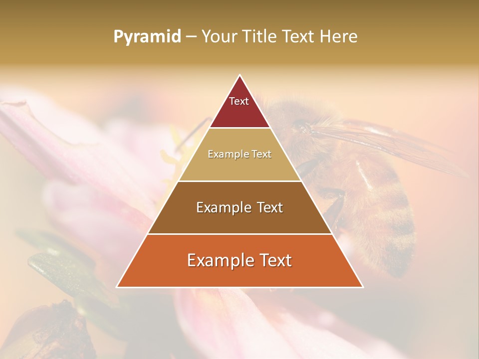 Water Old Ocean PowerPoint Template