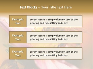 Water Old Ocean PowerPoint Template