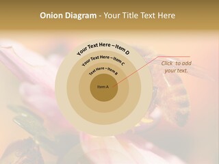 Water Old Ocean PowerPoint Template