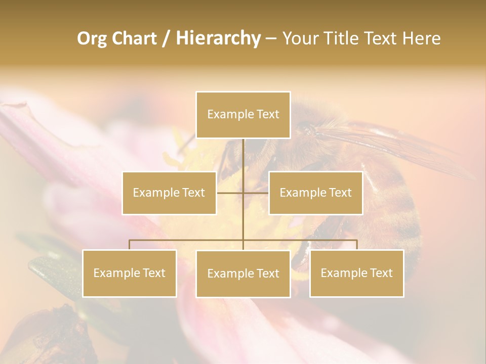 Water Old Ocean PowerPoint Template