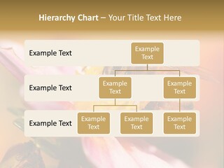 Water Old Ocean PowerPoint Template