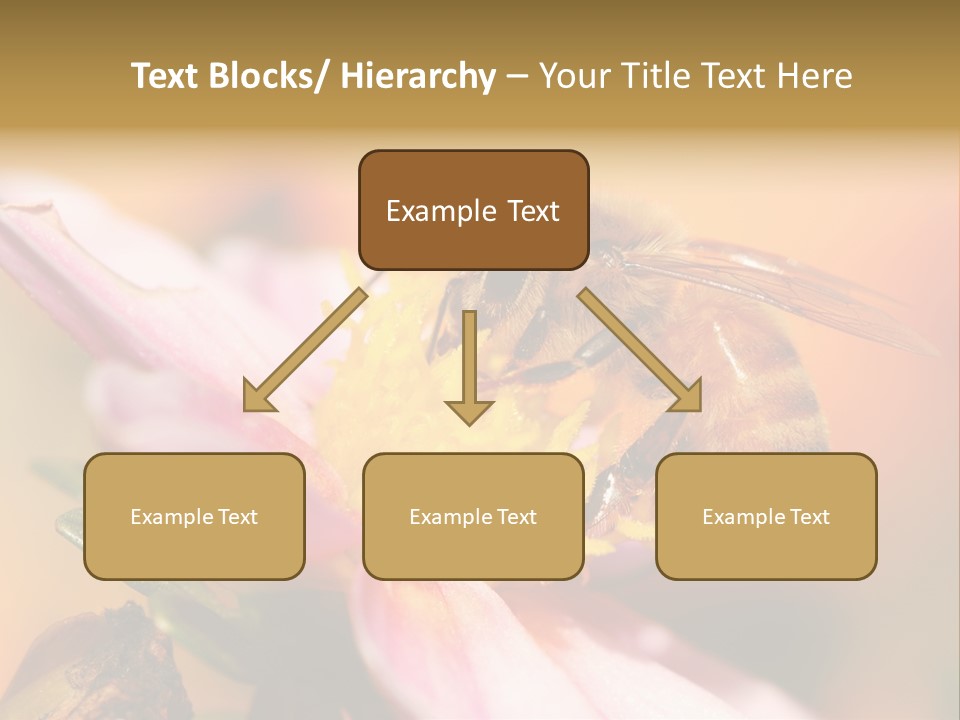 Water Old Ocean PowerPoint Template