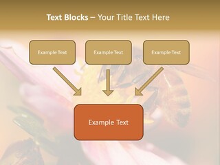 Water Old Ocean PowerPoint Template