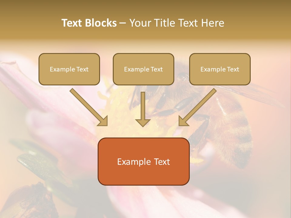Water Old Ocean PowerPoint Template