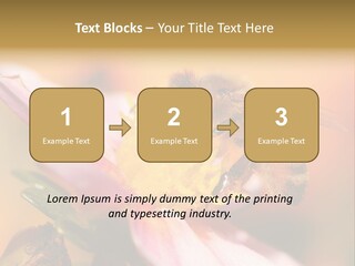 Water Old Ocean PowerPoint Template