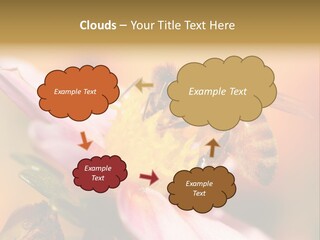 Water Old Ocean PowerPoint Template