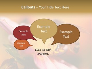 Water Old Ocean PowerPoint Template