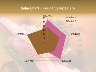 Water Old Ocean PowerPoint Template