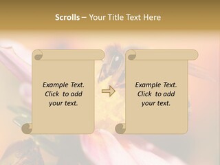 Water Old Ocean PowerPoint Template