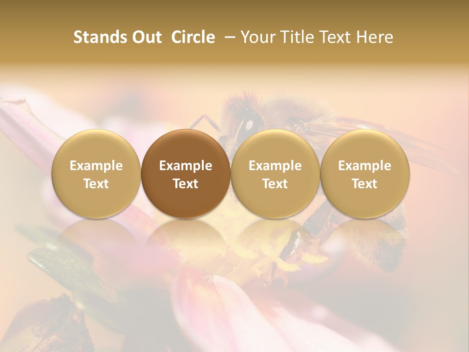 Water Old Ocean PowerPoint Template