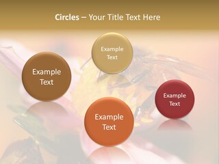 Water Old Ocean PowerPoint Template