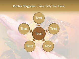 Water Old Ocean PowerPoint Template